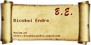Bicskei Endre névjegykártya
